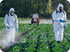 Referral page_paraquat-referral