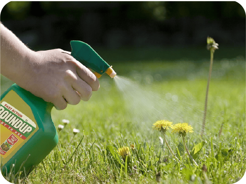 Referral page_roundup-referral