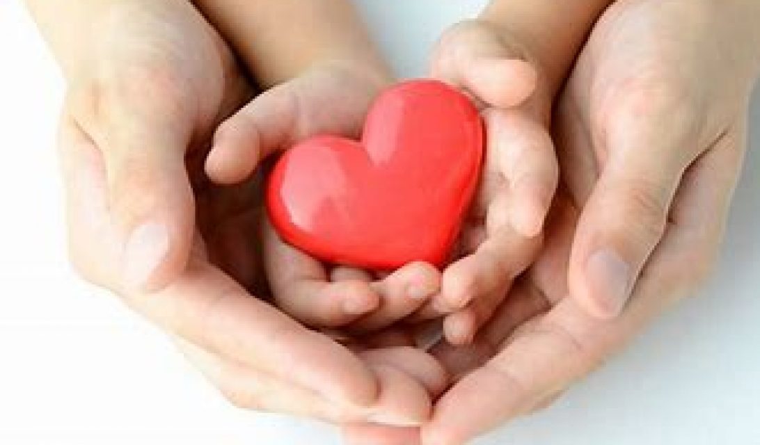 cropped-download-1 cropped-download-1