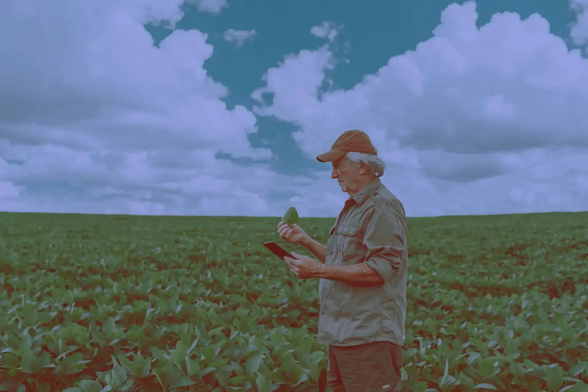 paraquat-cancer-parkinsons-image-1