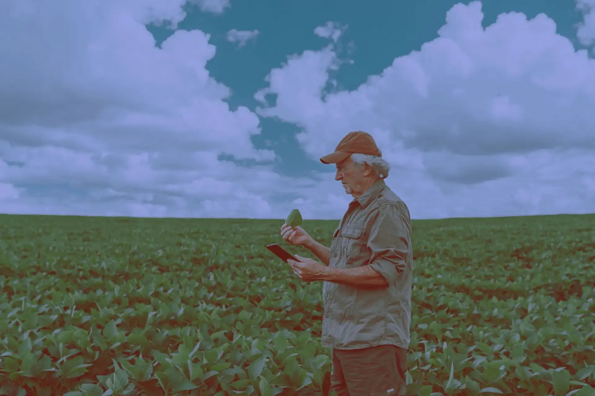 paraquat-cancer-parkinsons-image