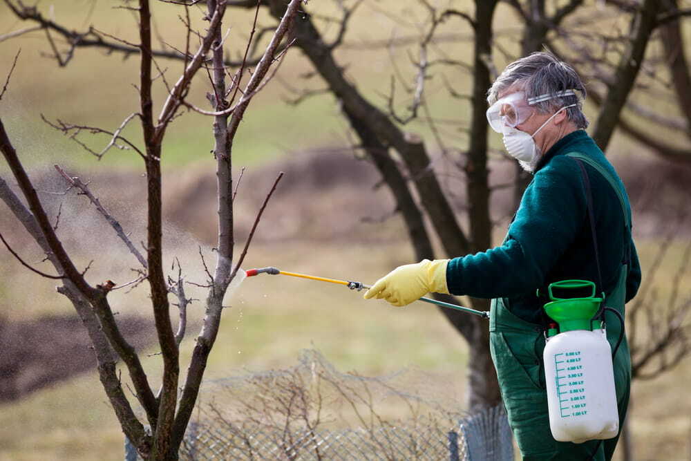 Using chemicals in the garden