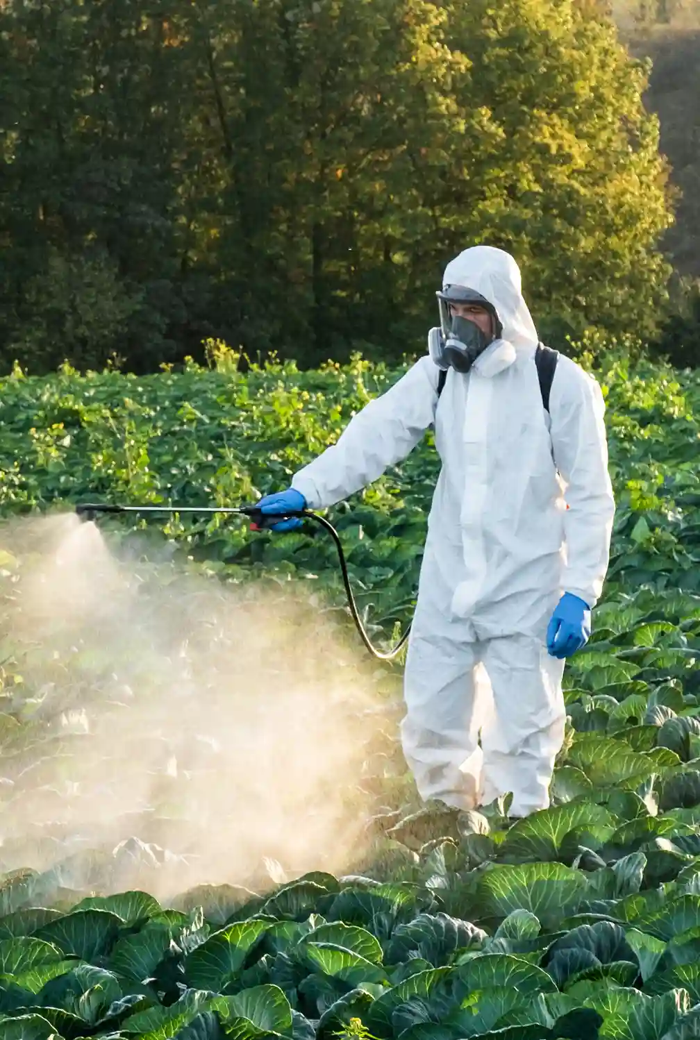 companies-involved-in-the-paraquat-lawsuits