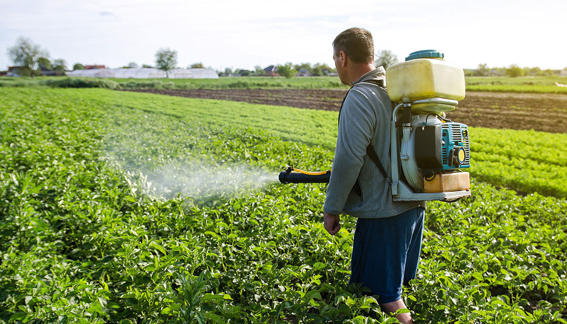 The dangers of Paraquat and Gramoxone.